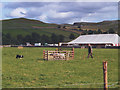 SD9767 : Sheepdog trials at Kilnsey Show by Stephen Craven