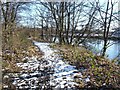 NS3977 : Footpath beside River Leven by Lairich Rig