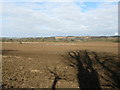 TQ3252 : Tractor ploughing field with lots of gulls by Nick Warner