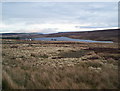 NZ0144 : Waskerley Reservoir and distant rain shower by Ann Clare