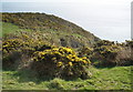 SX8748 : View, from above Warren Cove by Roger Cornfoot