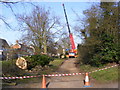 TM3569 : Tree Surgery in The Causeway, Peasenhall by Geographer