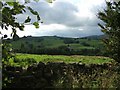 NY7766 : Rough pasture near Vindolanda by Iain Russell