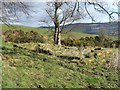 NS3779 : Ruins of Carman Cottage by Lairich Rig