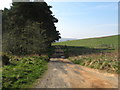  : Track to Windshiel Farm by James Denham