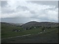 NS8814 : Leadhills and Wanlockhead Railway by Iain Russell