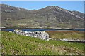 NF7928 : Ruin by Loch Aineort by Anne Burgess