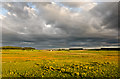  : On the edge of Leuchar Moss by Nigel Corby