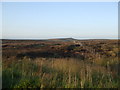 SE0506 : Moorland fencing at Black Gate by Glyn Drury