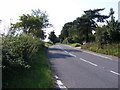 TM4496 : A143 Beccles Road, Haddiscoe by Geographer