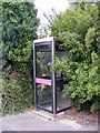 TM4365 : Theberton Telephone Box by Geographer