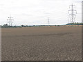  : Wheatfield and electricity towers, Gilston by Stephen Craven