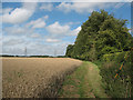 TL4313 : Bridleway west of Gilston Park by Stephen Craven