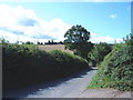 SX8988 : Minor road, to Dunchideock by Roger Cornfoot