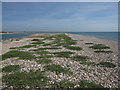 SZ8896 : Pagham Harbour mouth by Hugh Venables