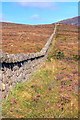 J3021 : The Mourne Wall by Mick Garratt