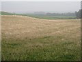  : Misty fields near Carsewell by M J Richardson