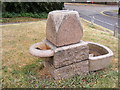 TL7204 : Great Baddow Village Water Trough by Geographer