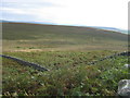  : Moorland near Hare Crag by Les Hull