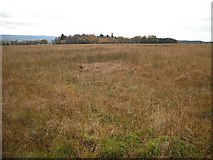 NS5090 : Wet rough grazing, Blairfad by Richard Webb