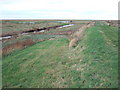  : A ramp down to the salt marsh by Richard Humphrey