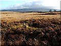 NS3678 : The second of a group of three cairns by Lairich Rig