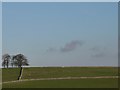 SK1960 : Trees on the skyline, Gratton Moor by Peter Barr