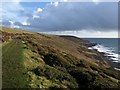 SX5246 : Coastal slope, The Warren by Derek Harper