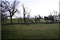 SP2652 : Winter hedgerow near Loxley by David P Howard