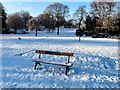 SJ9090 : Bench in Vernon Park by Gerald England