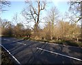 SP2555 : Bridge over small stream on Stratford Road by David P Howard