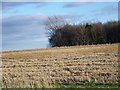 SU2191 : Stubble and game crop near Friars Hill by Maigheach-gheal