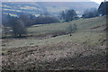 SN9176 : Grazing land near Pant-y-drain by Nigel Brown