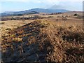 NS4782 : View along mound by Lairich Rig