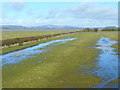 SO7105 : View from the Holden Tower at Slimbridge 2 by Jonathan Billinger