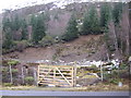 NN7694 : Quarry just off the Glen Tromie road by Peter Bond