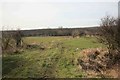  : Thurlby wood and fields by roger geach