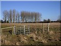 SP2152 : Kissing gate on the footpath to Heath Farm by David P Howard