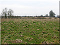 SP5709 : Fields to the north-east of Stanton House by Stephen Craven