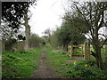 SU8376 : Knowl Hill Bridleway Circuit by don cload