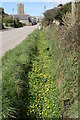 SW4025 : Ditch beside the road through the village by Elizabeth Scott