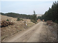 SS8893 : Forestry scene, Foel Gwilym Hywel by eswales