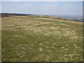 NZ0507 : Limestone Pasture by Matthew Hatton