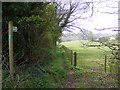 TM0837 : Footpath to Cotswold Poultry Farm & the A12 by Geographer