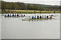 SU5983 : Moulsford eights by Richard Croft