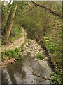 TR1162 : Stream and footpath towards Bogshole Lane by David Anstiss