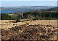 NS3583 : Hillside above Goukhill Farm by Lairich Rig