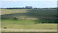 ST8748 : 2010 : Looking south on Upton Cow Down by Maurice Pullin