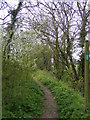 TM3068 : Footpath to Church Farm, Low Street  & New Leas by Geographer