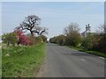 TL1857 : The road north from Little Barford by M J Richardson